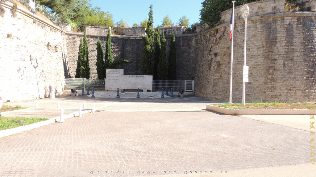 2024 07 05 TOULON   CEREMONIE DU MASSACRE D ORAN DU 5 JUILLET 1962 (1).JPG